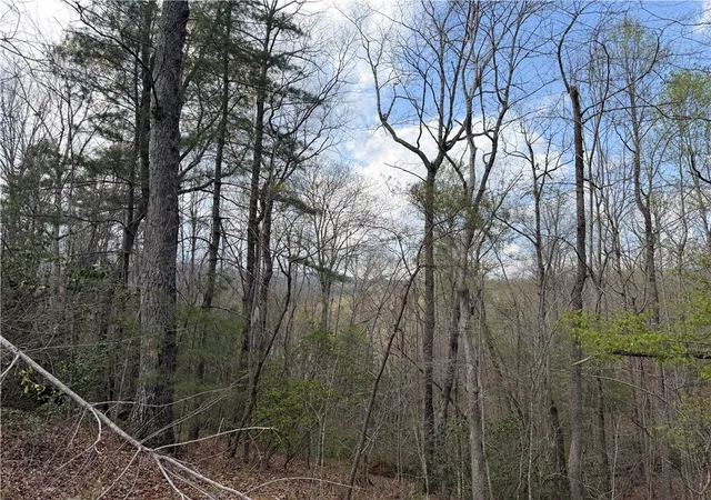 Photo 3 of Land for sale at 45 Emerald Crst Ln, Cleveland, SC 29635 | MLS# 20299595 | Listing updated on 2026-08-01