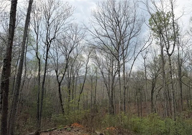 Photo 3 of House for sale at 45 Emerald Crst Ln, Cleveland, SC 29635 | MLS# 20299595 | Listing updated on 2026-08-01