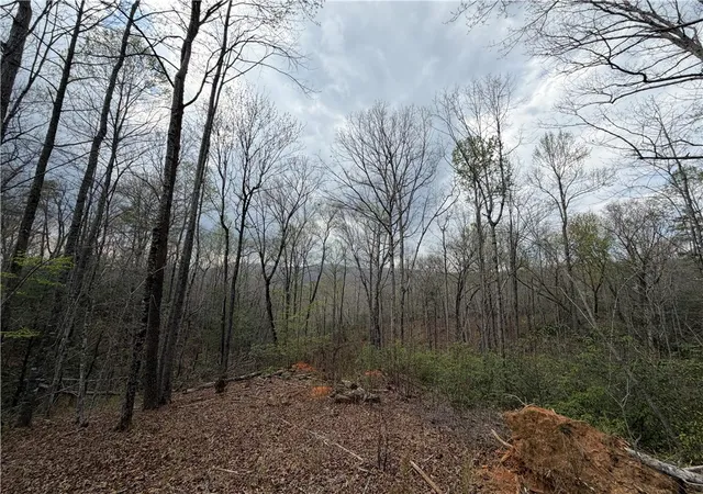 Photo 4 of House for sale at 45 Emerald Crst Ln, Cleveland, SC 29635 | MLS# 20299595 | Listing updated on 2026-08-01