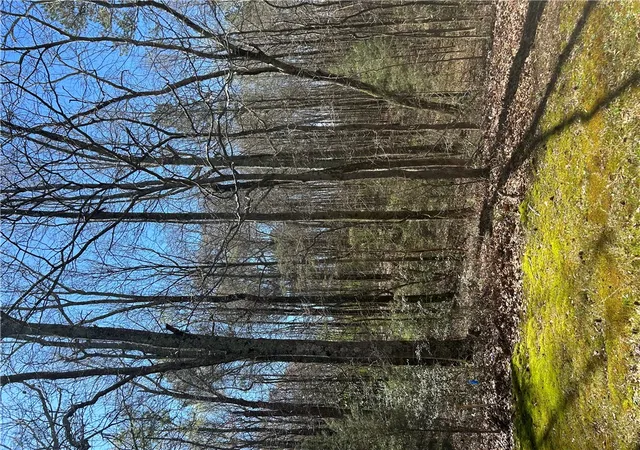 2nd image of 0 Harts Mill Rd, Hartwell, GA 30643 | MLS# 20299822