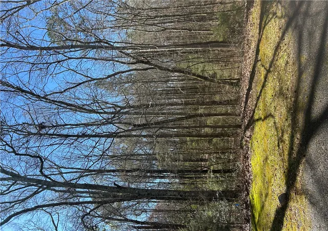3rd image of 0 Harts Mill Rd, Hartwell, GA 30643 | MLS# 20299822