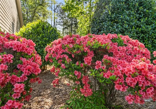 35th image of 3607 Rocky Creek Dr, Seneca, SC 29678 | MLS# 20299977