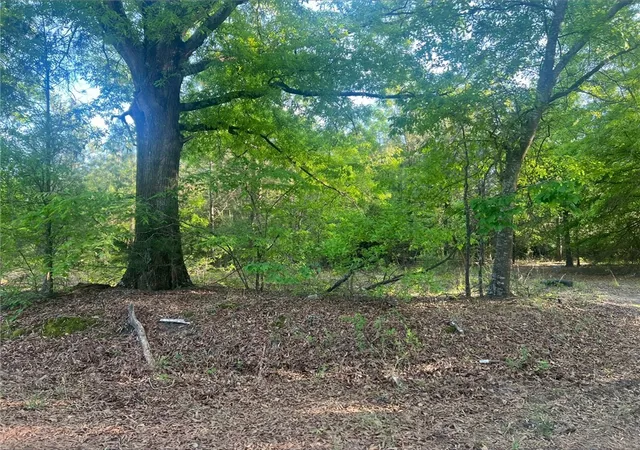 Homes for sale in Anderson, SC | Lot 15 Old Abbeville Hwy, Anderson, SC 29624 | MLS# 20300272