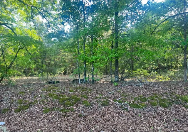 Homes for sale in Anderson, SC | Lot 15 Old Abbeville Hwy, Anderson, SC 29624 | MLS# 20300272