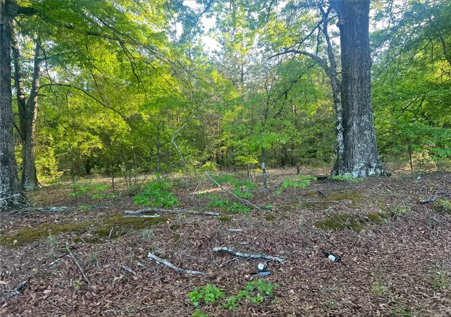 Homes for sale in Anderson, SC | Lot 15 Old Abbeville Hwy, Anderson, SC 29624 | MLS# 20300272