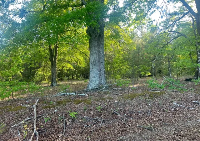 Homes for sale in Anderson, SC | Lot 15 Old Abbeville Hwy, Anderson, SC 29624 | MLS# 20300272