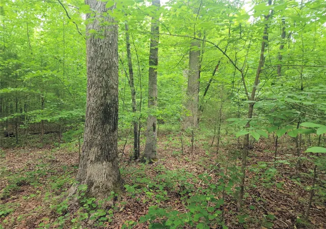 Photo 3 of Sale Pending at 00 Stewart Dairy Rd, Gray Court, SC 29645 | MLS# 20300625 | Listing updated on 2026-09-14