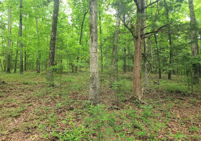 Photo 4 of Sale Pending at 00 Stewart Dairy Rd, Gray Court, SC 29645 | MLS# 20300625 | Listing updated on 2026-09-14