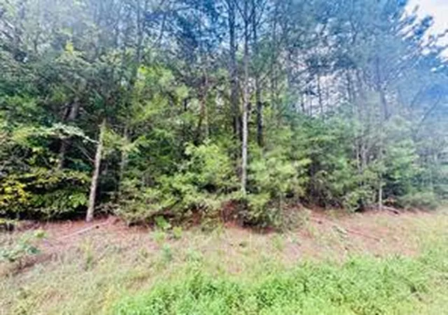 Photo 3 of Land for sale at 00 Old Douglas Ml Rd, Abbeville, SC 29620 | MLS# 20300548 | Listing updated on 2026-04-29