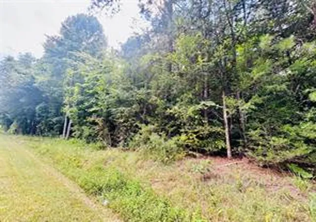 Photo 3 of House for sale at 00 Old Douglas Ml Rd, Abbeville, SC 29620 | MLS# 20300548 | Listing updated on 2026-04-29