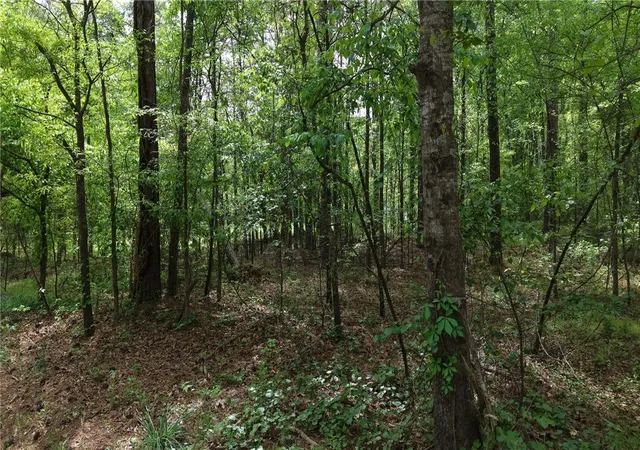5th image of Tbd Slab Bridge Rd, Liberty, SC 29657 | MLS# 20300778