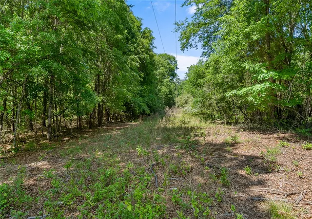 Homes for sale in Belton, SC | 00 Boggs Rd, Belton, SC 29627 | MLS# 20300733
