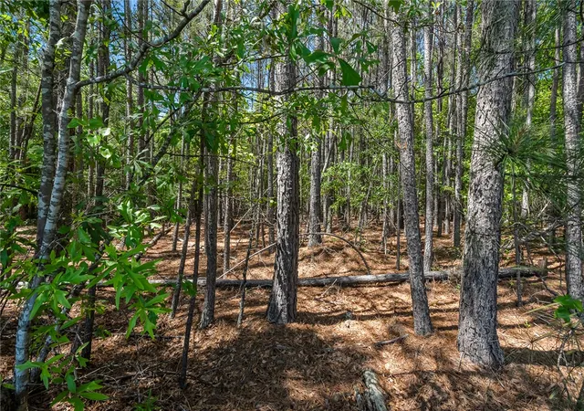 Homes for sale in Belton, SC | 00 Boggs Rd, Belton, SC 29627 | MLS# 20300733