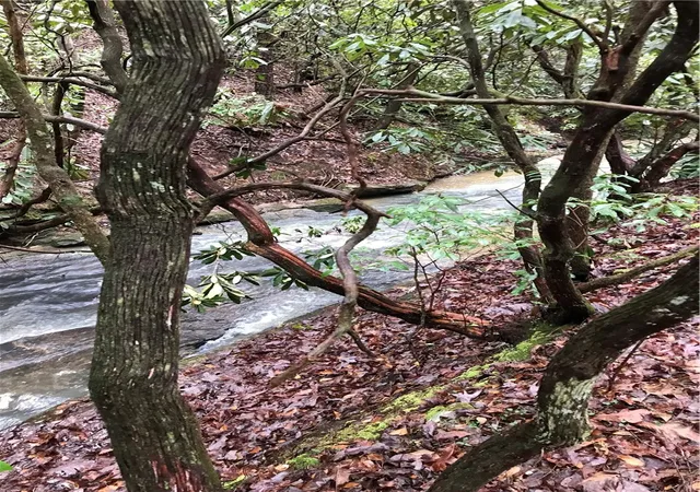 Photo 3 of Land for sale at 00 Marble Branch Trl, Walhalla, SC 29691 | MLS# 20300787 | Listing updated on 2026-06-10