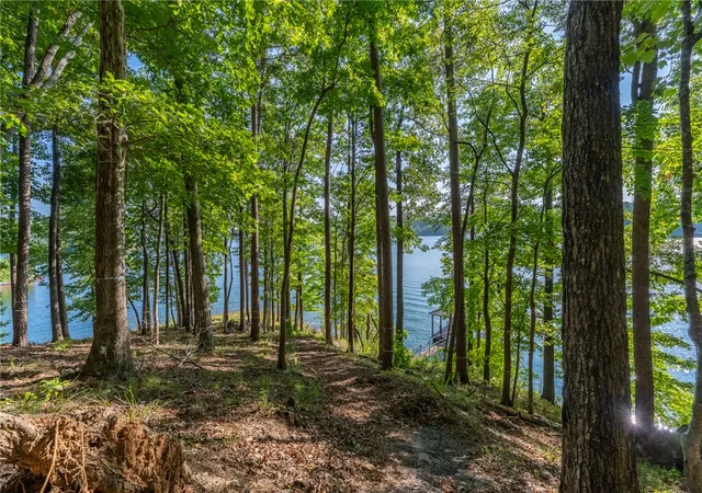 Photo 3 of Land for sale at 107 S Turtle Rock Rd, Sunset, SC 29685 | MLS# 20300585 | Listing updated on 2026-05-11