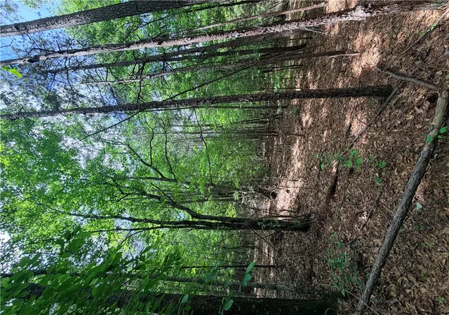 5th image of 208 Sparks Ln, Pickens, SC 29671 | MLS# 20301398