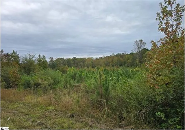 Photo 2 of Land for sale at 0 E Highway 378, Mc Cormick, SC 29835 | MLS# 20301483 | Listing updated on 2026-07-06