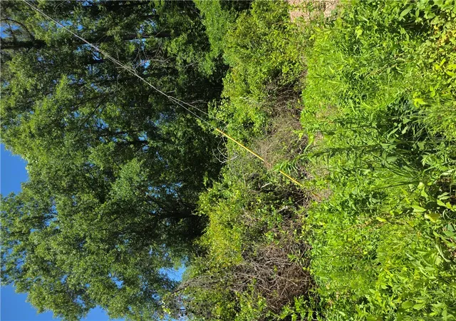 2nd image of 00 Tree Top Ln, Easley, SC 29642 | MLS# 20301524