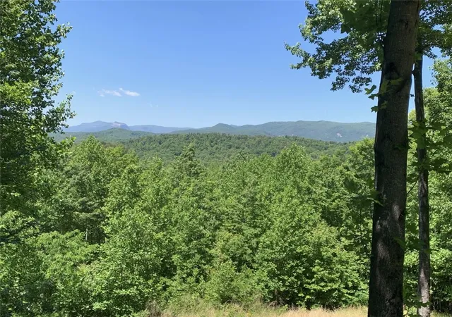 Photo 1 of Land for sale at 17 Sweetleaf Ct, Marietta, SC 29661 | MLS# 20301603 | Listing updated on 2026-05-20