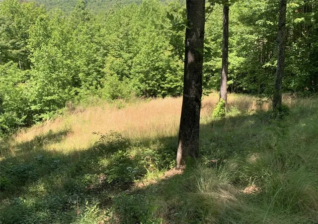 Photo 3 of Land for sale at 17 Sweetleaf Ct, Marietta, SC 29661 | MLS# 20301603 | Listing updated on 2026-05-20