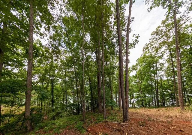 Homes for sale in Six Mile, SC | #2 Warpath Ridge Trl, Six Mile, SC 29682 | MLS# 20301703