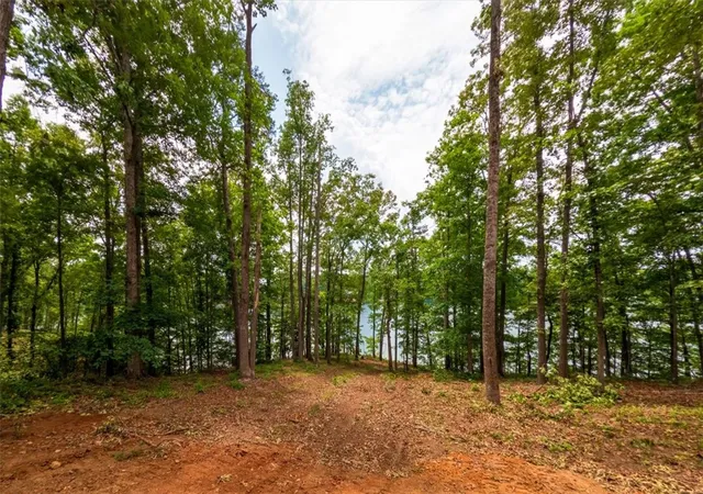 Homes for sale in Six Mile, SC | #3 Warpath Ridge Trl #3, Six Mile, SC 29682 | MLS# 20301704