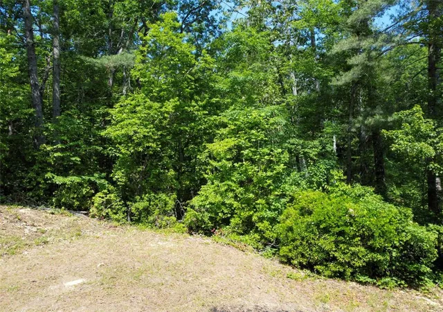 5th image of E18 Lake View Ct, Salem, SC 29676 | MLS# 20301673