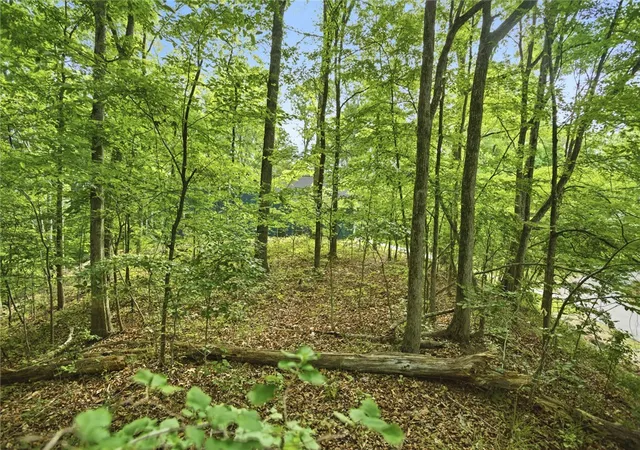 Photo 4 of Land for sale at 324 Oconee Ave, Westminster, SC 29693 | MLS# 20301862 | Listing updated on 2026-05-26