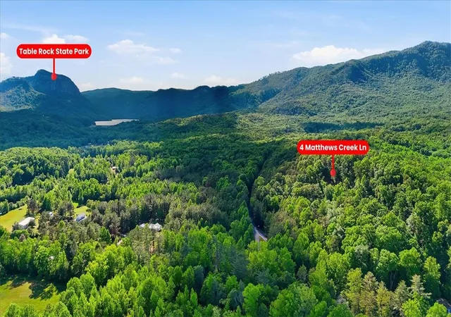 Homes for sale in Cleveland, SC | 4 Matthews Creek Ln, Cleveland, SC 29635 | MLS# 20302006