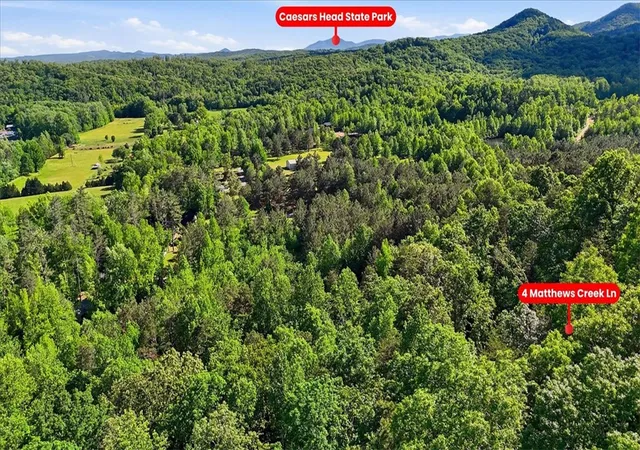 Homes for sale in Cleveland, SC | 4 Matthews Creek Ln, Cleveland, SC 29635 | MLS# 20302006