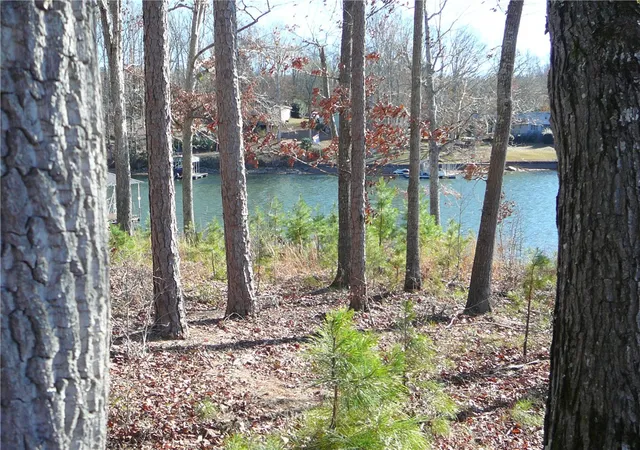 Photo 3 of Land for sale at Lt 4 Landings Run, Abbeville, SC 29620 | MLS# 20302074 | Listing updated on 2026-09-21