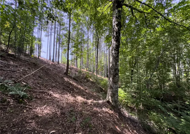 Photo 3 of Land for sale at Lot 11 Little Keowee Blvd, West Union, SC 29696 | MLS# 20302078 | Listing updated on 2026-06-28