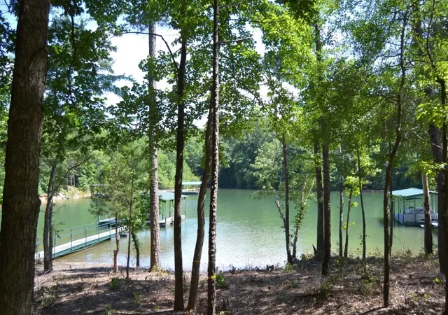 5th image of 913 Paynes Creek Rd, Hartwell, GA 30643 | MLS# 20300013