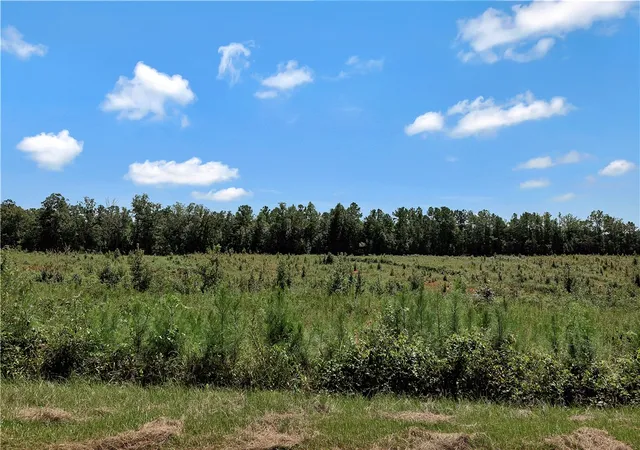 Homes for sale in Iva, SC | 00 Brown Rd, Iva, SC 29655 | MLS# 20302145