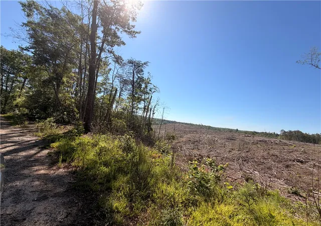 Land for sale at 309 Knox Crk Rd, Tamassee, SC 29686 | MLS# 20302443