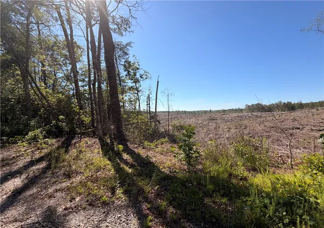 Photo 1 of Land for sale at 309 Knox Crk Rd, Tamassee, SC 29686 | MLS# 20302443 | Listing updated on 2026-06-09