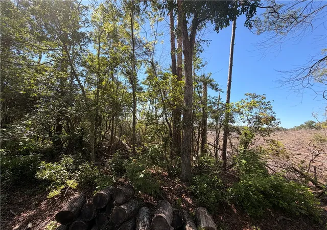 Photo 2 of Land for sale at 309 Knox Crk Rd, Tamassee, SC 29686 | MLS# 20302443 | Listing updated on 2026-06-09