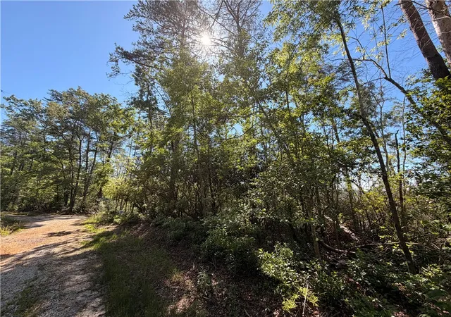 Photo 3 of Land for sale at 309 Knox Crk Rd, Tamassee, SC 29686 | MLS# 20302443 | Listing updated on 2026-06-09