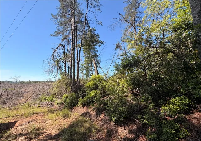 Photo 4 of Land for sale at 309 Knox Crk Rd, Tamassee, SC 29686 | MLS# 20302443 | Listing updated on 2026-06-09