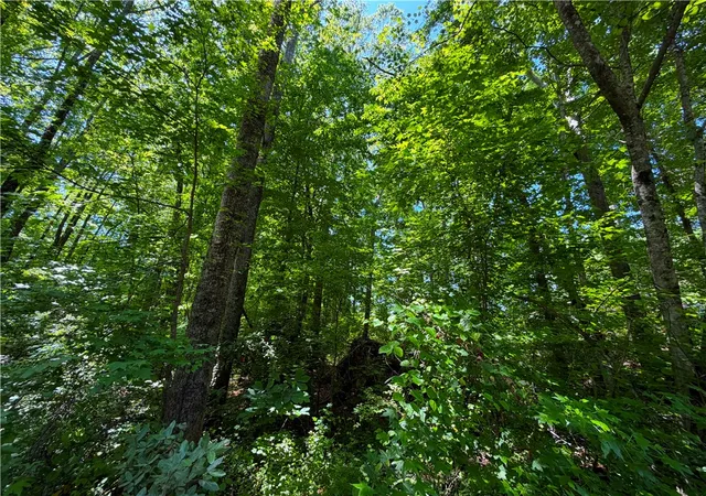 Photo 2 of Land for sale at 165 Tabor St, Central, SC 29630 | MLS# 20302421 | Listing updated on 2026-06-10