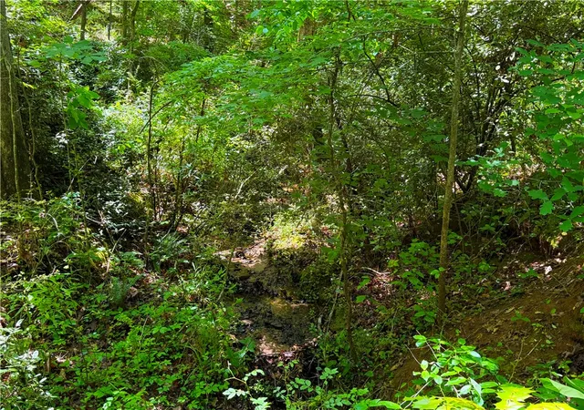 Photo 2 of Land for sale at 165 Tabor St, Central, SC 29630 | MLS# 20302421 | Listing updated on 2026-06-10