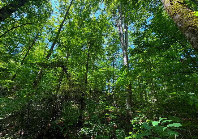 Photo 3 of Land for sale at 165 Tabor St, Central, SC 29630 | MLS# 20302421 | Listing updated on 2026-06-10