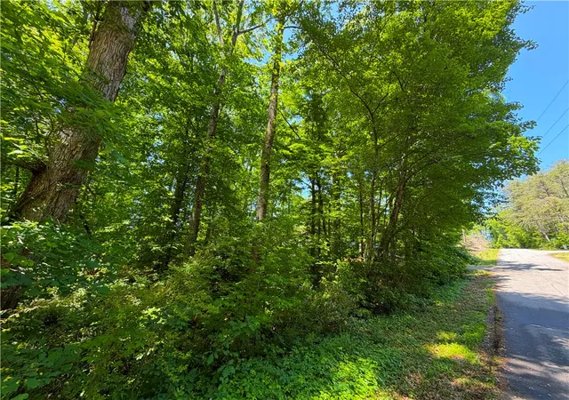Photo 4 of Land for sale at 165 Tabor St, Central, SC 29630 | MLS# 20302421 | Listing updated on 2026-06-10