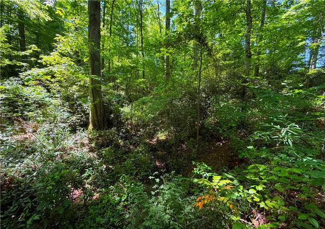 Photo 7 of Land for sale at 165 Tabor St, Central, SC 29630 | MLS# 20302421 | Listing updated on 2026-06-10