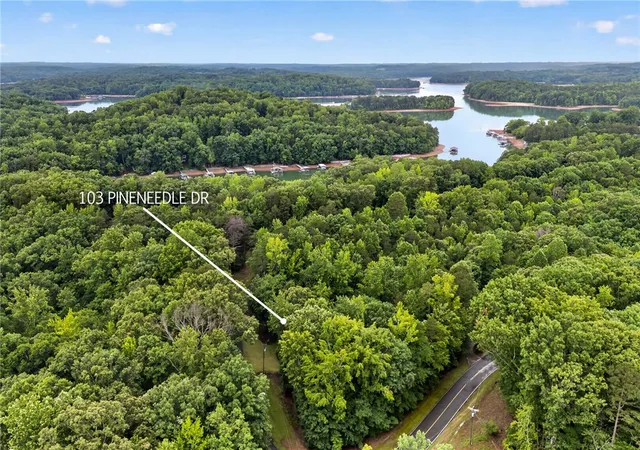 Homes for sale in Westminster, SC | 103 Pineneedle Dr, Westminster, SC 29693 | MLS# 20302306