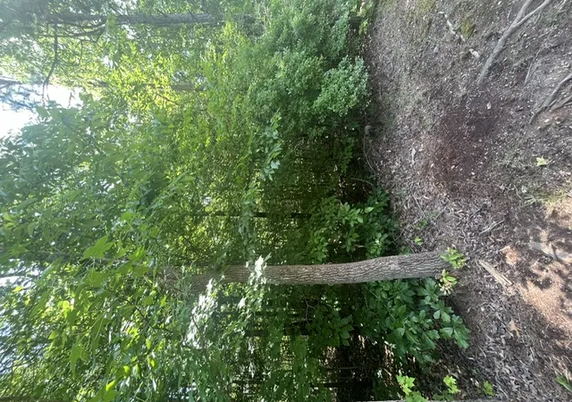 Photo 1 of Land for sale at 0 Point Rd, Westminster, SC 29693 | MLS# 20302598 | Listing updated on 2026-06-11