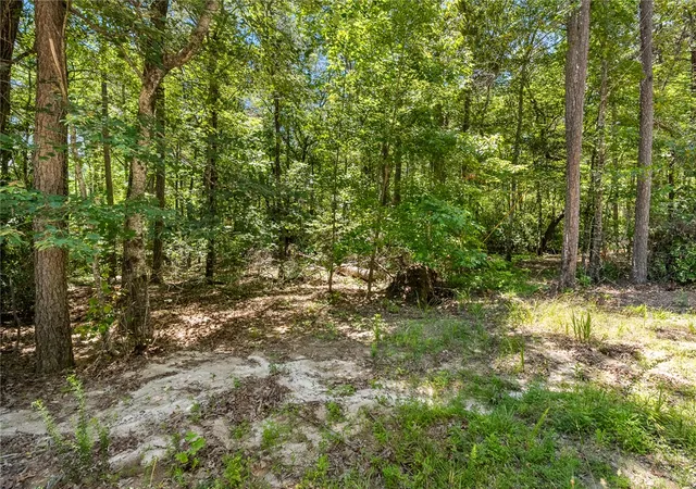 Photo 3 of House for sale at 00 Pine Mountain Rd, Tamassee, SC 29686 | MLS# 20302712 | Listing updated on 2026-08-24