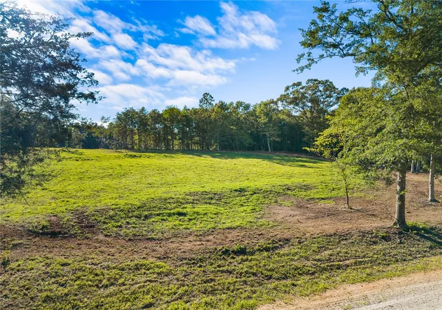 2nd image of 75 Hidden Acres Trl, Pelzer, SC 29669 | MLS# 20302893