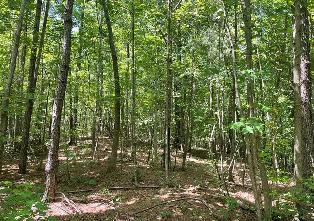 4th image of 00 Nimmons Bridge Rd, Salem, SC 29676 | MLS# 20302918