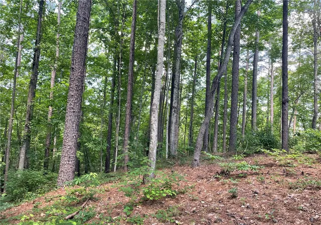 5th image of 00 Nimmons Bridge Rd, Salem, SC 29676 | MLS# 20302918